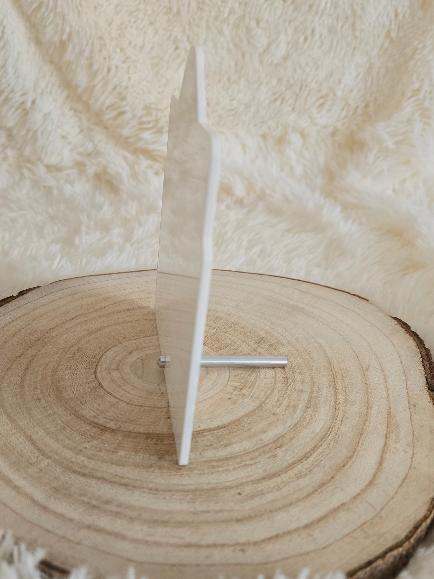 Acrylic Letter with pin stand