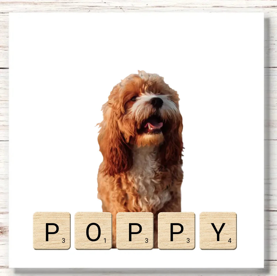 6 Square Stickers Wood Mockup Image