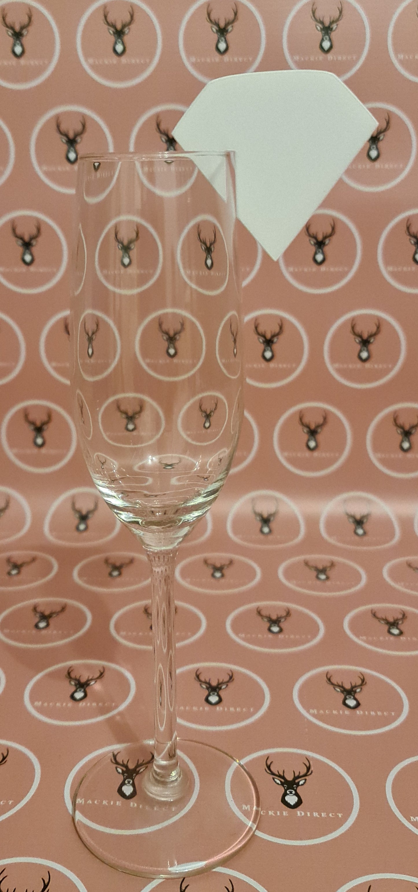 Acrylic Diamond Shaped Wine Glass Charm