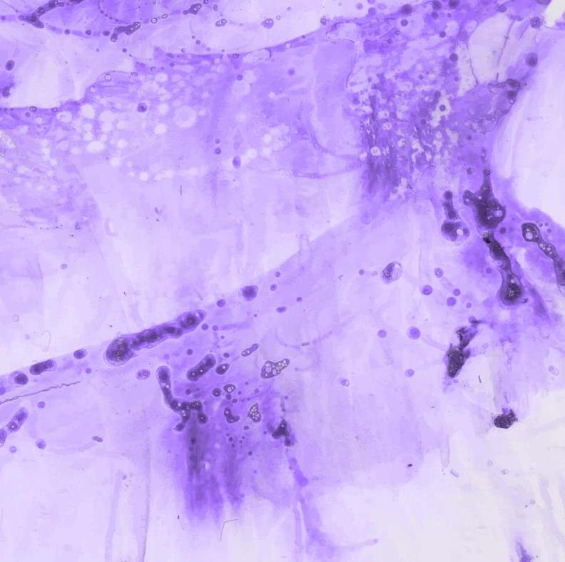 Infusible Ink Sheets