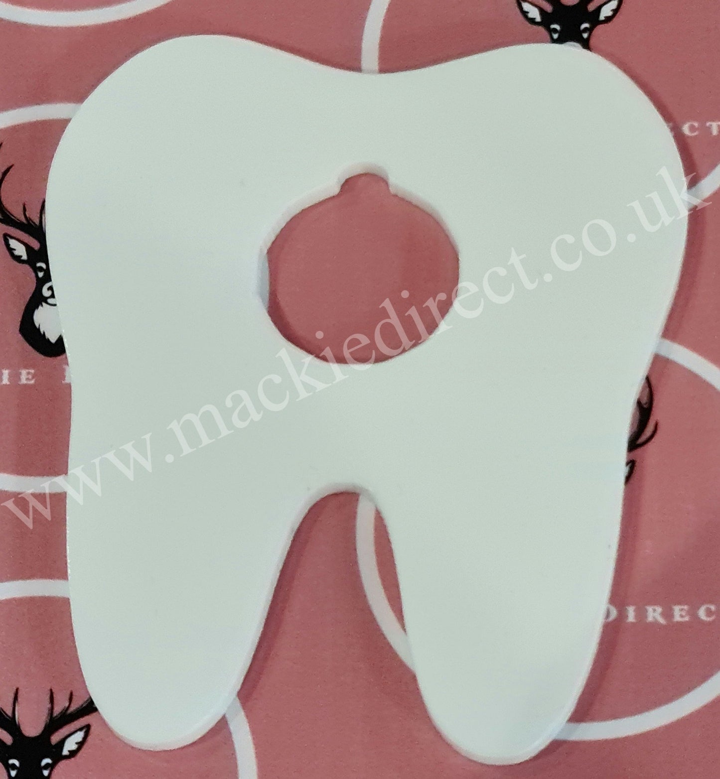 Acrylic Tooth Fairy Coin Holders - Mackie Direct